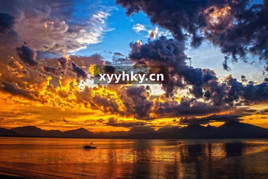 伟德体育 读懂伟德体育数据面板：新手必学的赛事信息筛选方法
