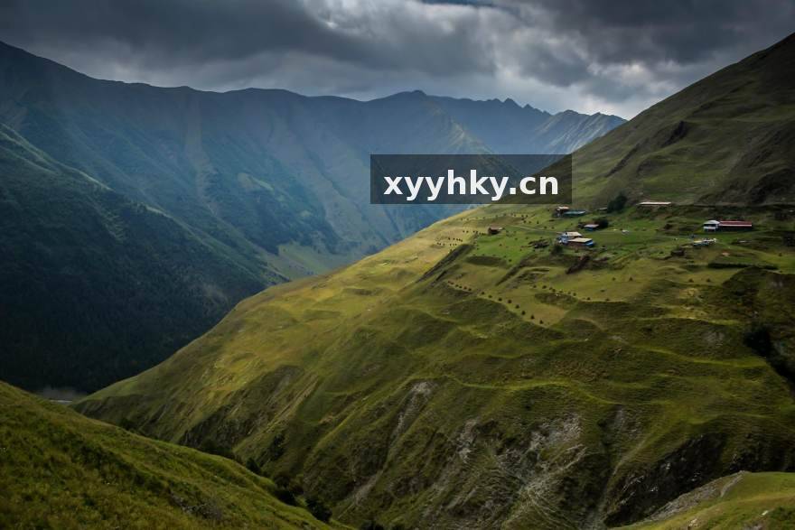 伟德体育 赛季中期盘点：五大联赛争冠格局与数据看点全解析