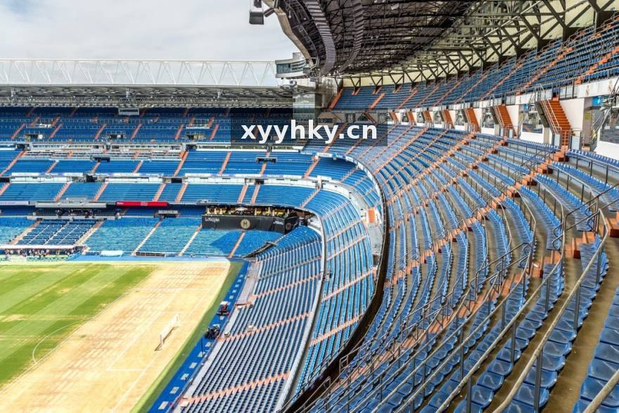 从看台到数据席：一位老球迷在伟德体育的转型手记